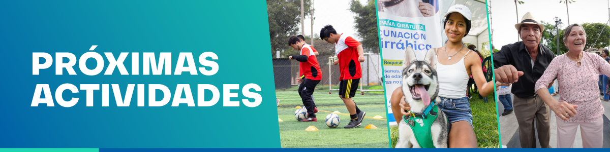 Próximas actividades