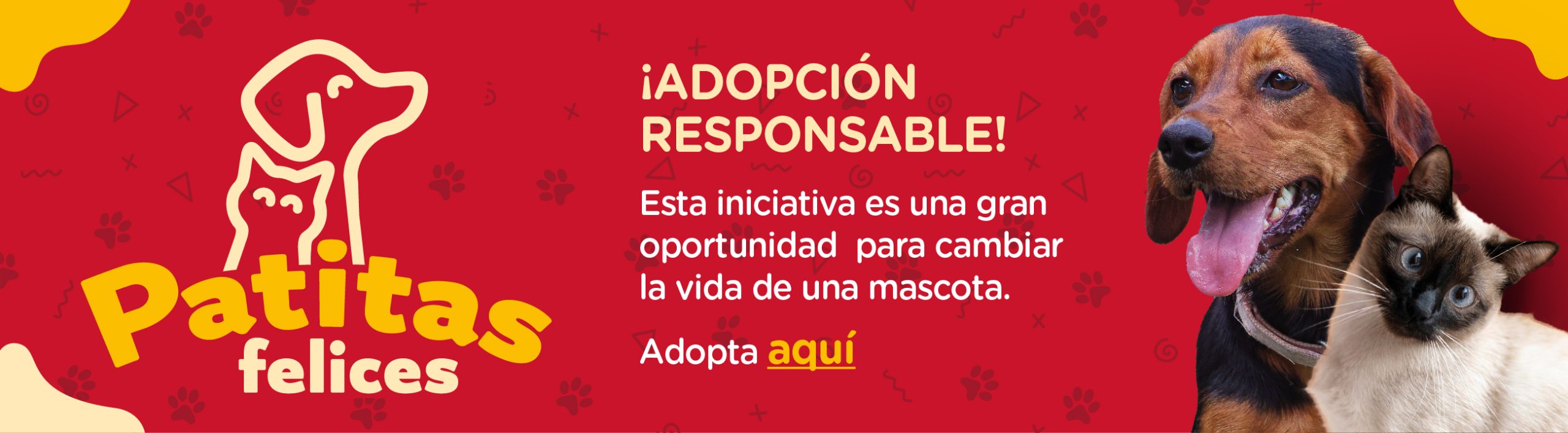 Próximas actividades