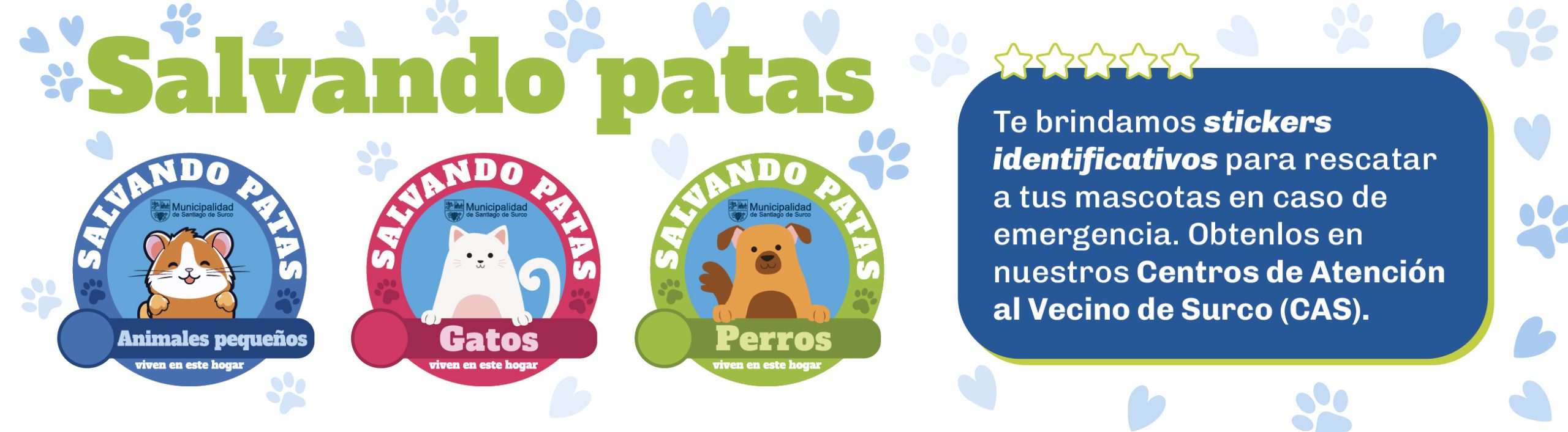Próximas actividades
