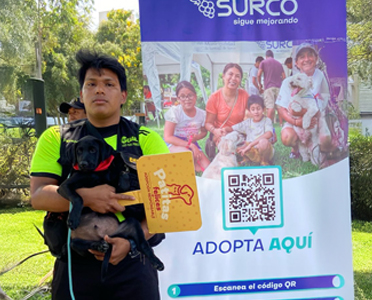 caso exito 290425