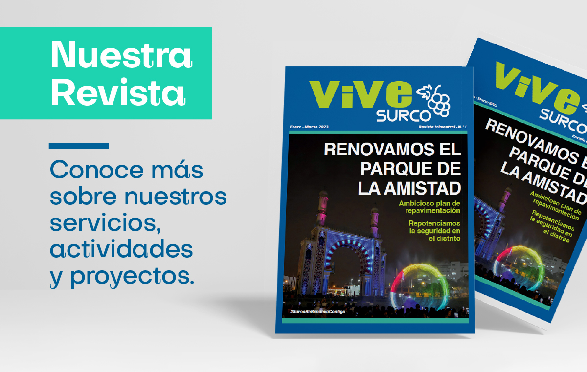 revista