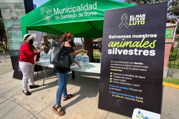 Municipalidad de Surco impulsa campaña de apoyo solidario para animales silvestres afectados por derrame de petróleo