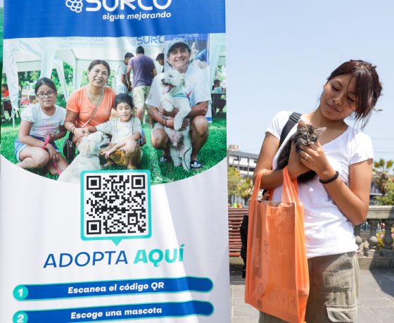 Surco: “Patitas Felices” logró adopción de perritos y gatitos del albergue municipal