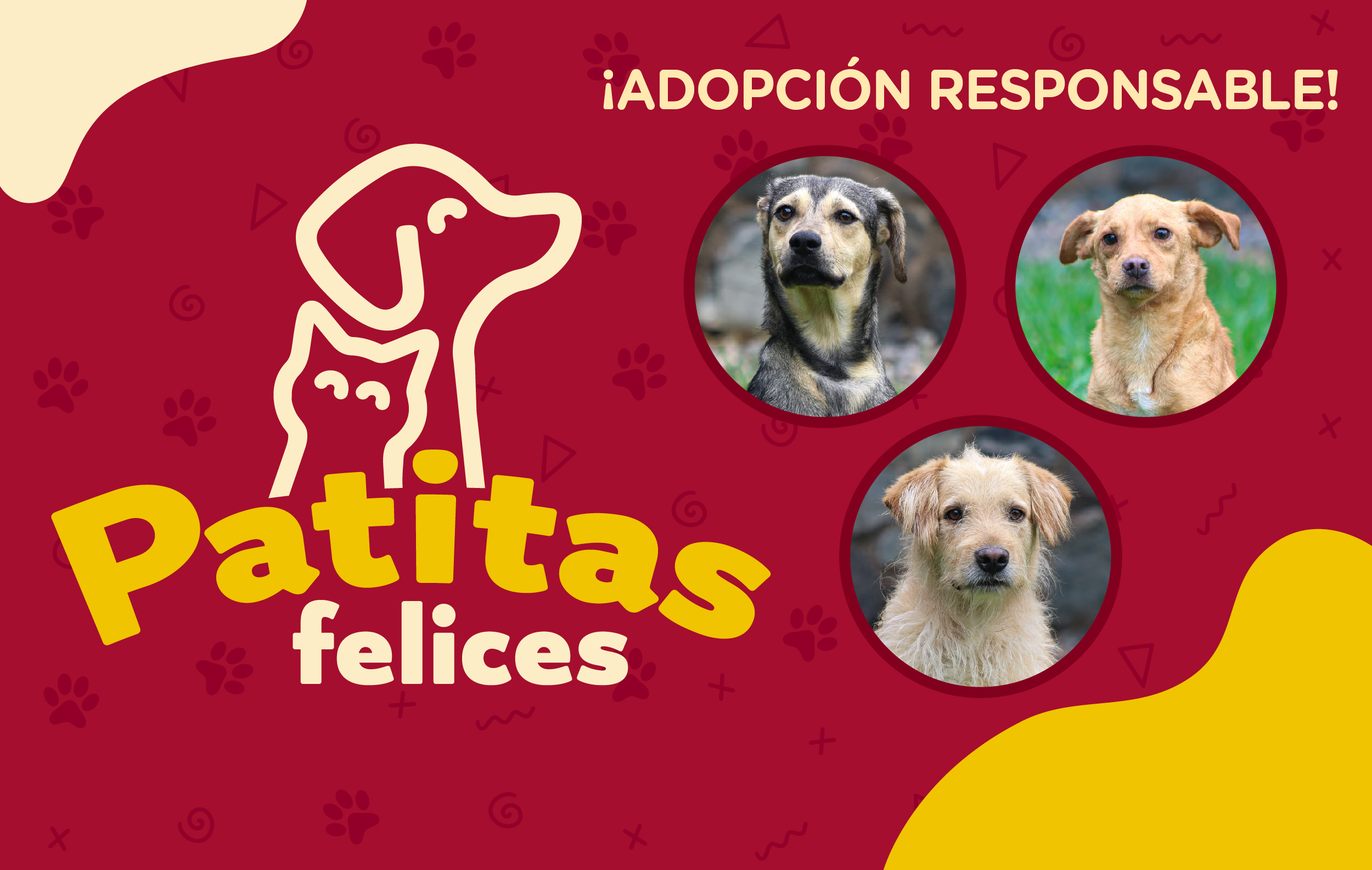 Destacados patitas act 0606