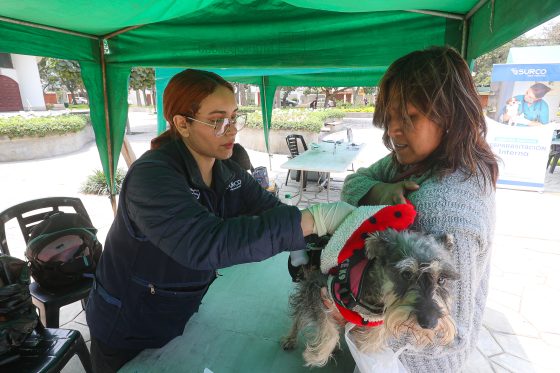 Surco anuncia servicios gratuitos de vacunación antirrábica y desparasitación para mascotas