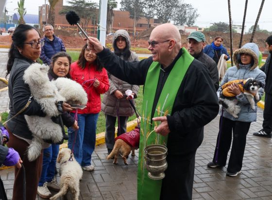 Mascotas recibieron la bendición y fueron vacunadas contra la rabia en Santiago de Surco