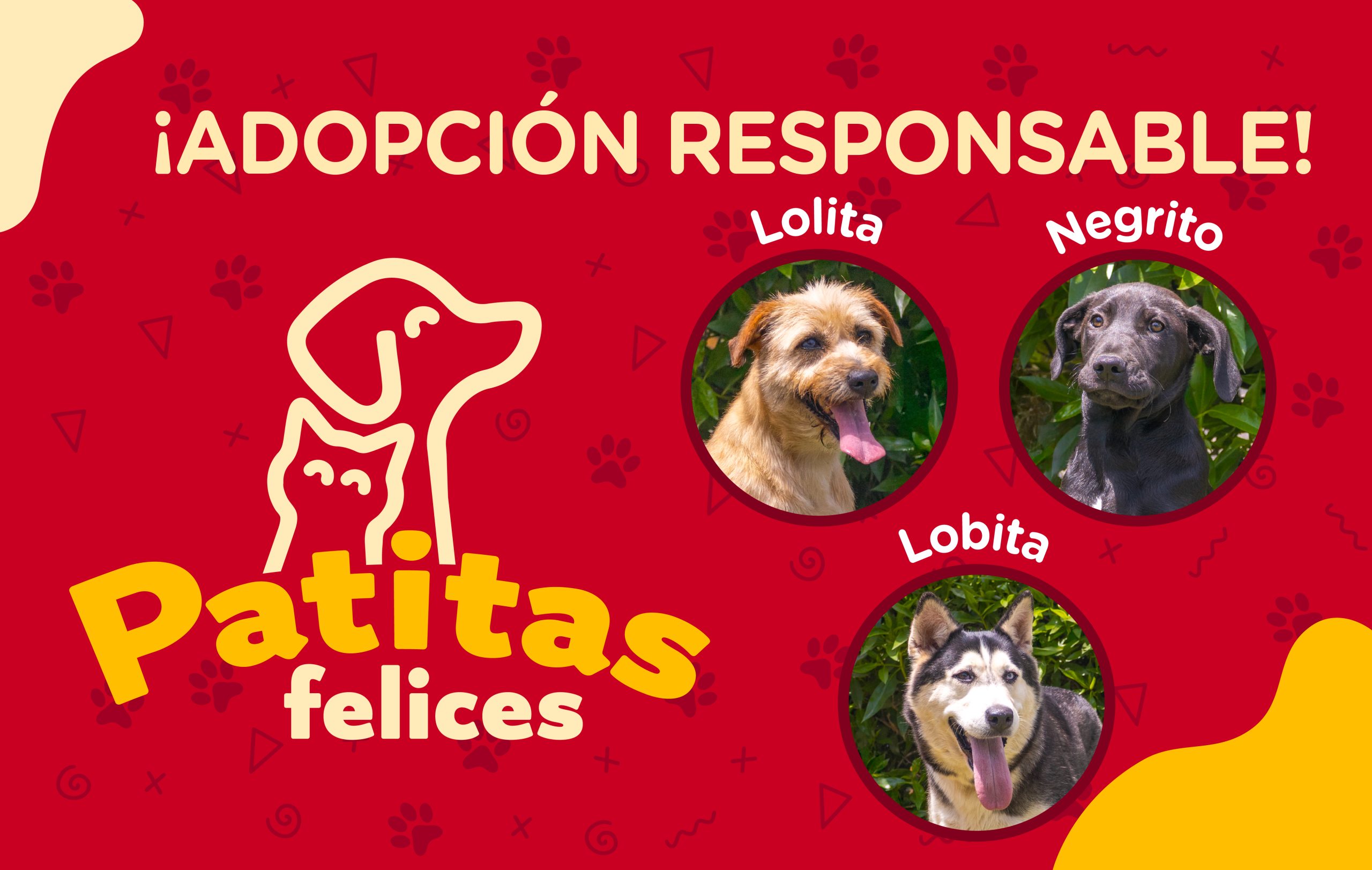 patitas felices destacada 191125