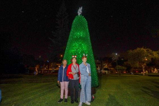 Alcalde Carlos Bruce participó en tradicional encendido de árbol navideño en el parque Olavegoya