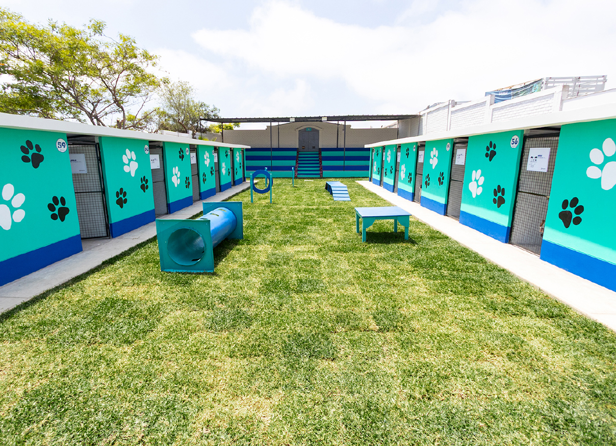 boton albergue municipal