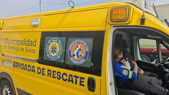 Gatita atrapada en la Panamericana Sur fue rescatada por brigadistas de la Municipalidad de Surco