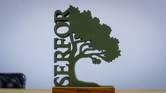 Surco recibió reconocimiento nacional de Serfor por la histórica “Ceiba Madre”, árbol con 100 años de antigüedad
