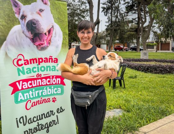 Municipalidad de Surco brinda vacunación antirrábica y desparasitación gratuitas para mascotas